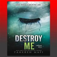 کتاب Destroy Me از فروشگاه کتب زبان اصلی مینویی