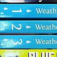 Weathering With You, vol.2 By Wataru Kubota